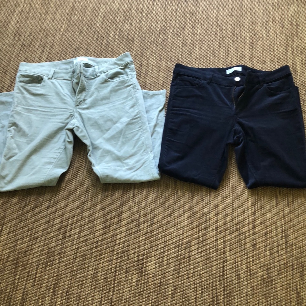 Ann Taylor Loft pants